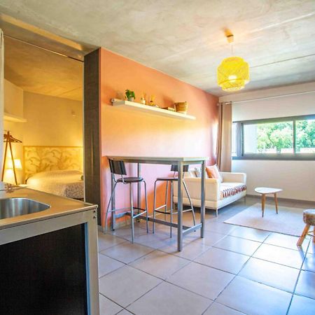 אביניון Le Saint Roch 1 - Ac Clim - Wifi - 50M Centre Ville מראה חיצוני תמונה