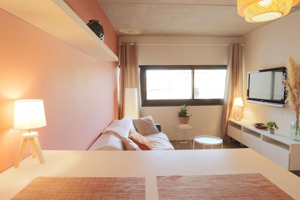 אביניון Le Saint Roch 1 - Ac Clim - Wifi - 50M Centre Ville מראה חיצוני תמונה